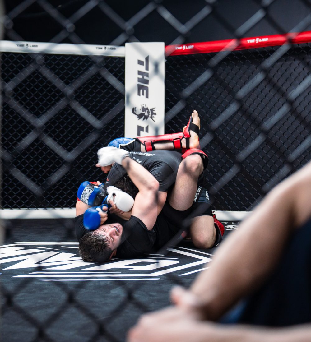 MMA Sparring