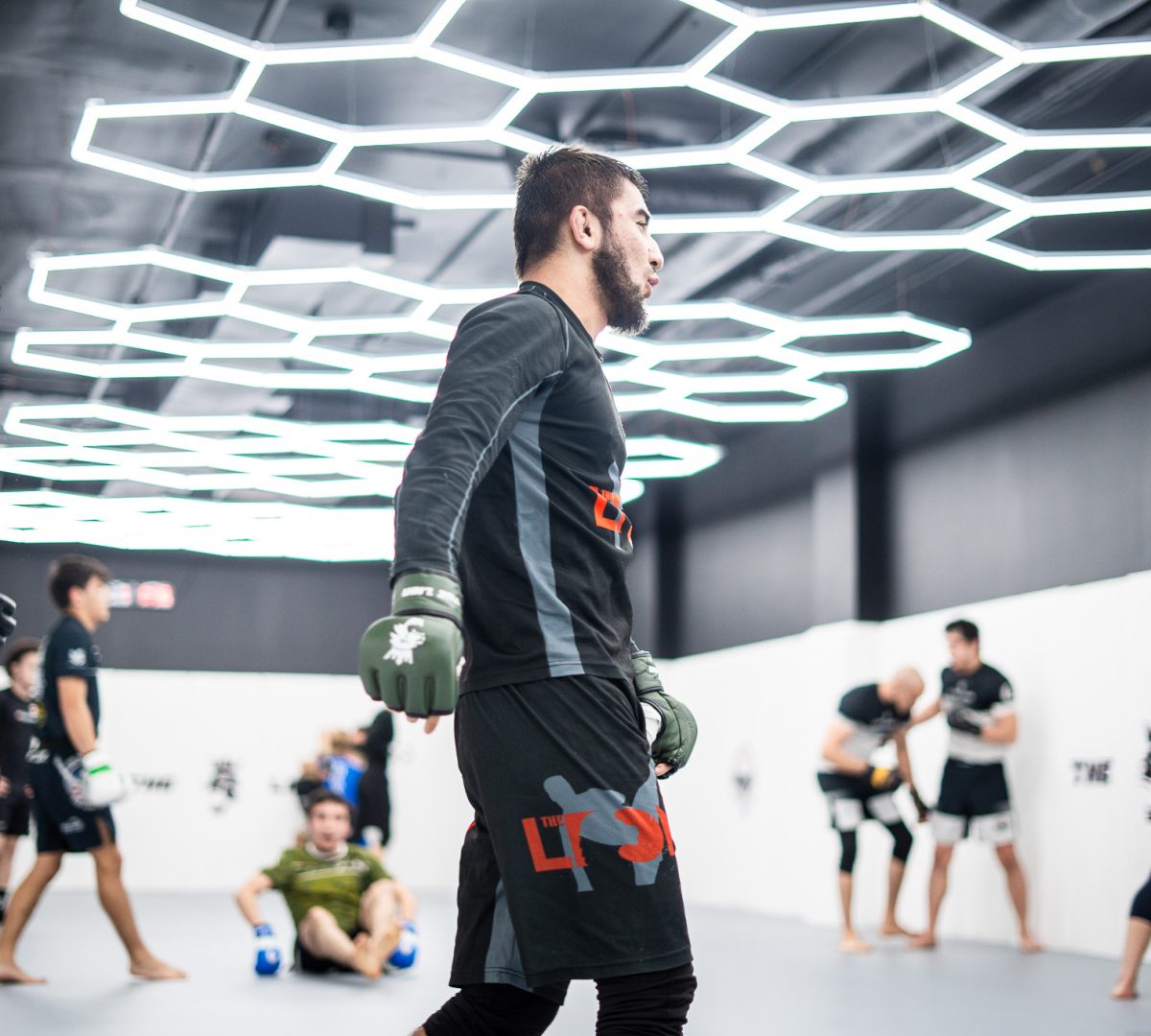 MMA training